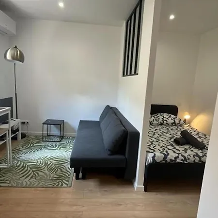 L'appart Lassus Climatisation Apartman Montauban