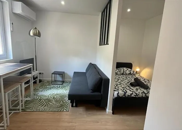 L'appart Lassus Climatisation Apartman Montauban